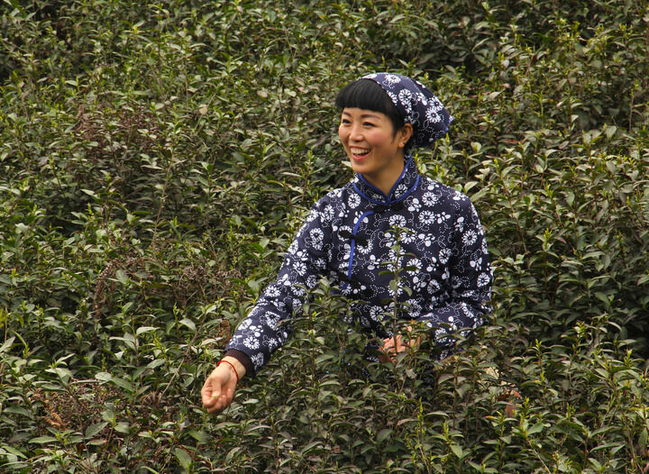 96间房主跳舞 暗夜评分榜